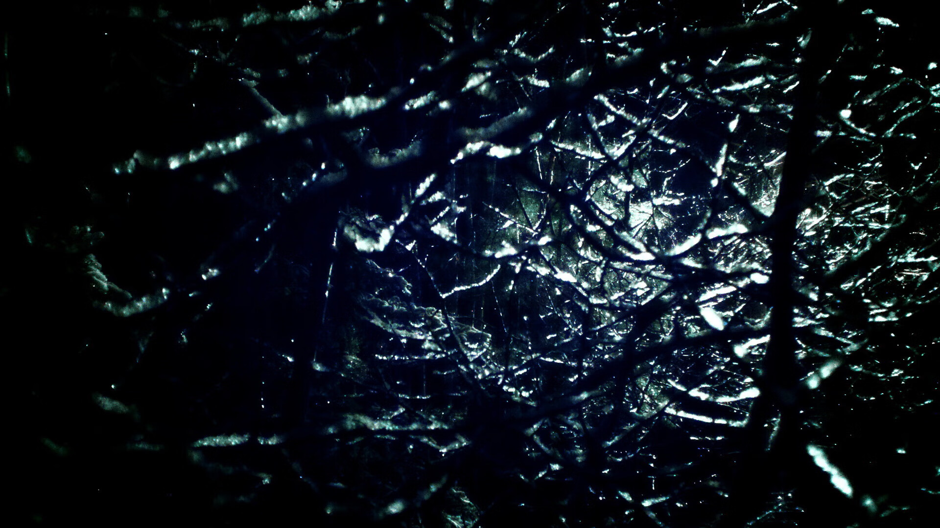 本田车队在日本大奖赛中表现出色，honda车队