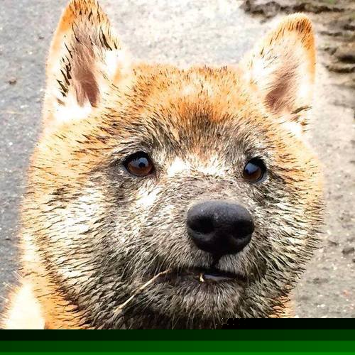 英超比赛充满变数，精彩局面层出不穷，英超比赛规则