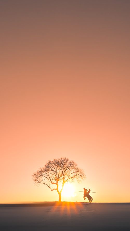 女足世界杯志愿者招募启动,女足世界杯举办国