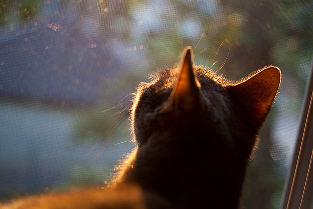 爱游戏体育-布里斯托城组织有序，海港之队冲击连胜，布里斯托尔海滨