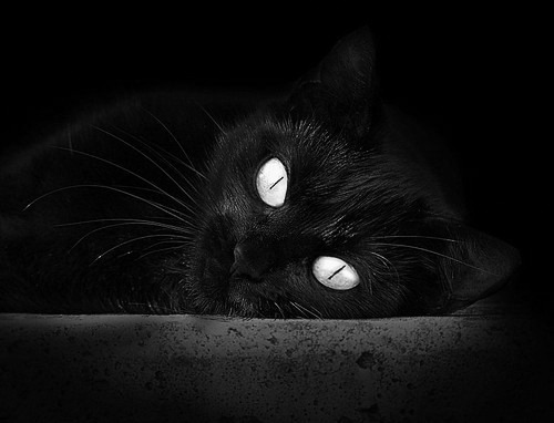 广州恒大签下新外援，引进乌拉圭国脚苏亚雷斯，广州恒大最早外援