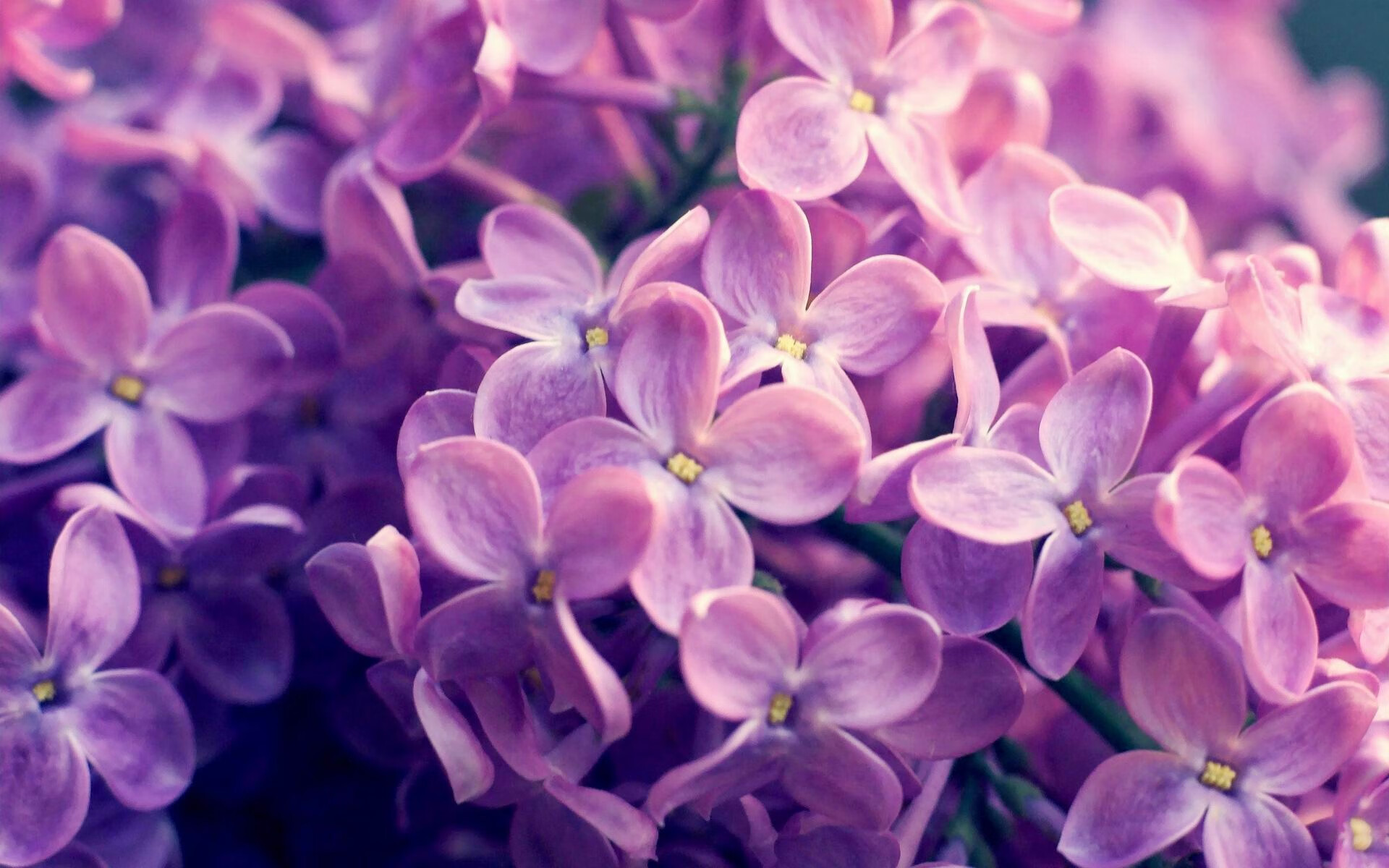 爱游戏线上-斯图加特荒漠雄狮霸气登顶，夺得夺冠宝座，斯图加特沙尘暴