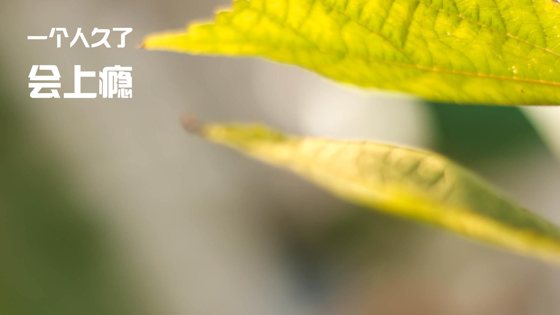 爱游戏全站-体育传媒内容对青少年体育认同的影响路径分析，媒体对体育发展的影响